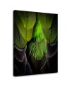 Decorative Canvas painting on canvas - Green feathers | FEEBY