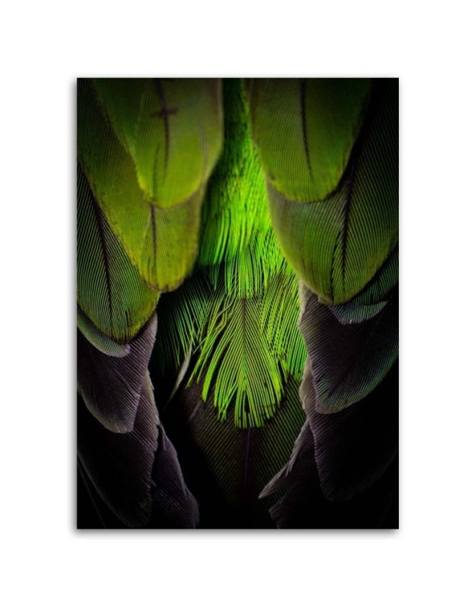 Decorative Canvas painting on canvas - Green feathers | FEEBY