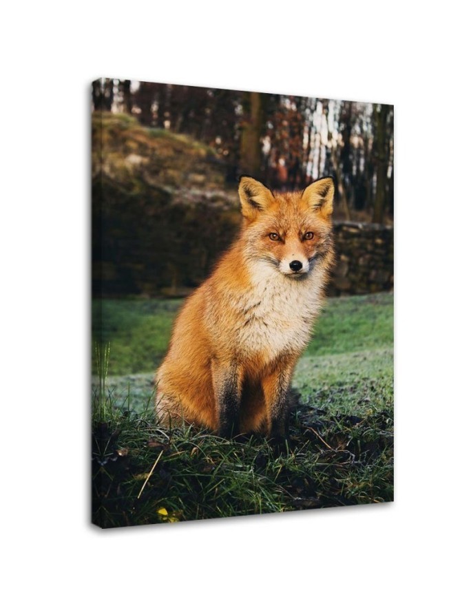 Decorative Canvas painting for living room - Fox in the forest - Canvas painting | FEEBY
