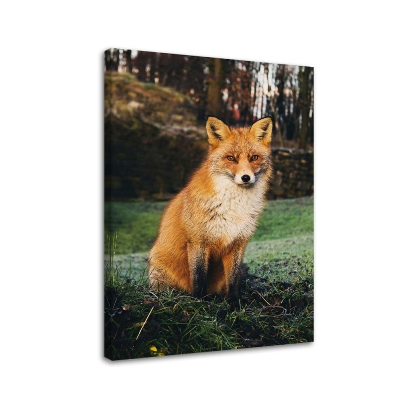 Decorative Canvas painting for living room - Fox in the forest - Canvas painting | FEEBY