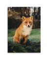 Decorative Canvas painting for living room - Fox in the forest - Canvas painting | FEEBY