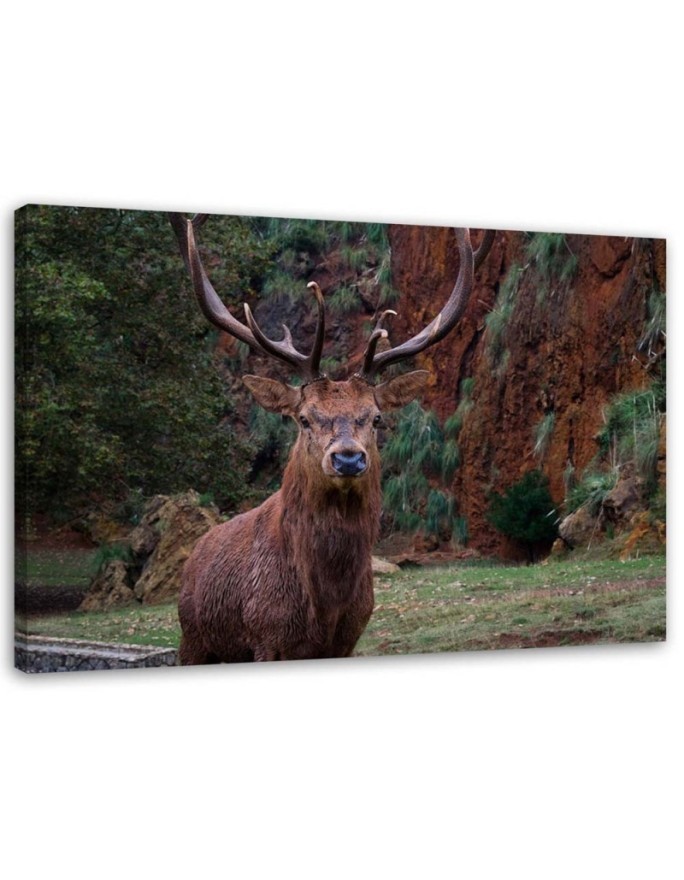 Canvas wall art painting - King of the forest - Living room decoration | FEEBY