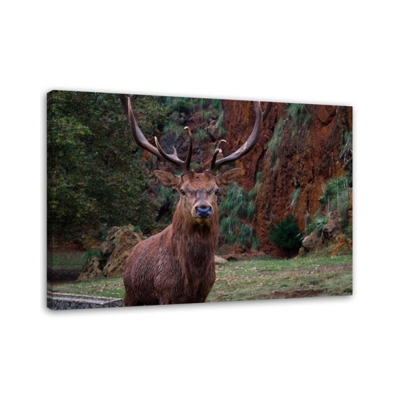 Canvas wall art painting - King of the forest - Living room decoration | FEEBY