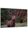 Canvas wall art painting - King of the forest - Living room decoration | FEEBY
