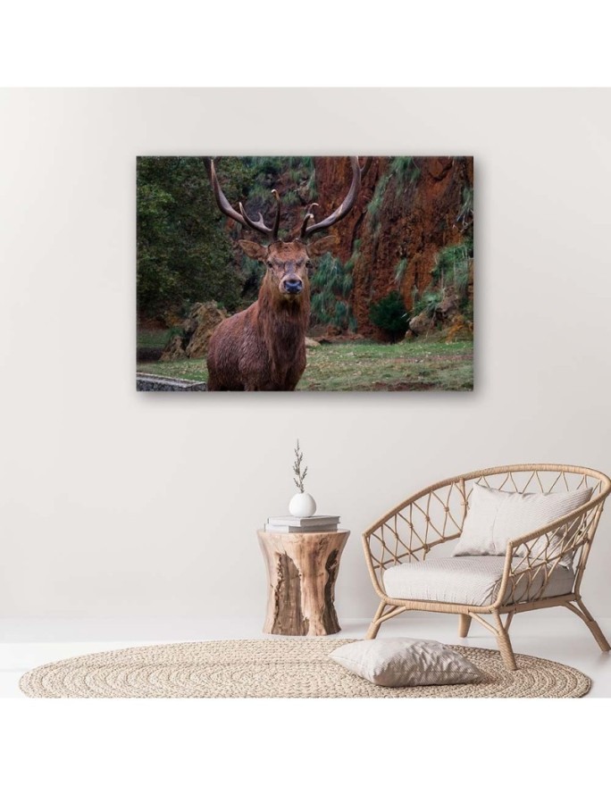 Canvas wall art painting - King of the forest - Living room decoration | FEEBY