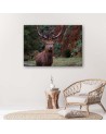 Canvas wall art painting - King of the forest - Living room decoration | FEEBY