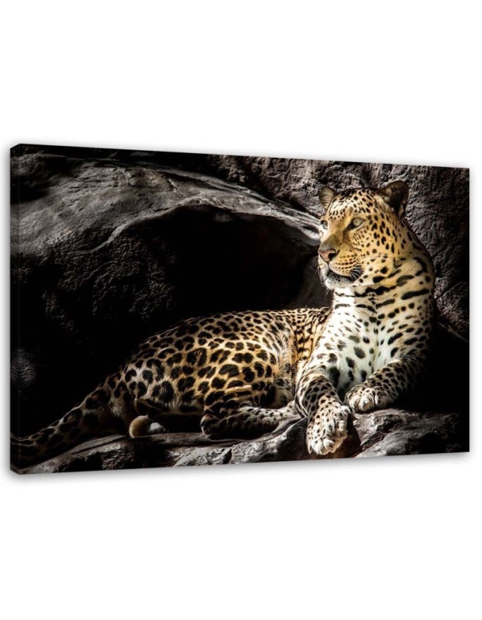 Leopard on the rocks - Modern Canvas Pictures | FEEBY