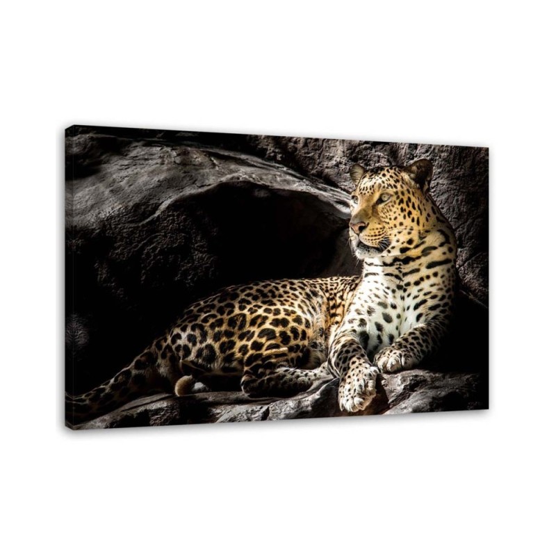 Leopard on the rocks - Modern Canvas Pictures | FEEBY