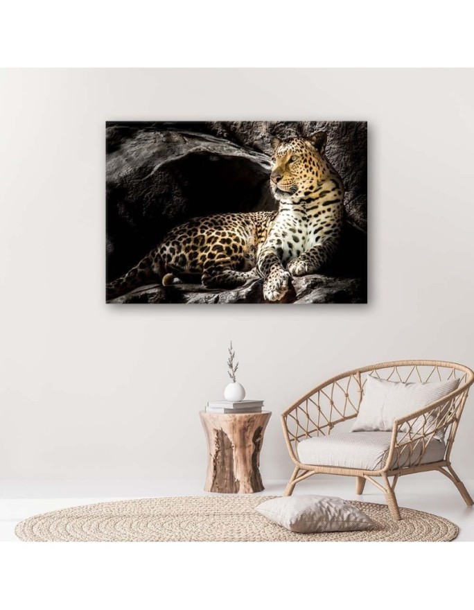 Leopard on the rocks - Modern Canvas Pictures | FEEBY