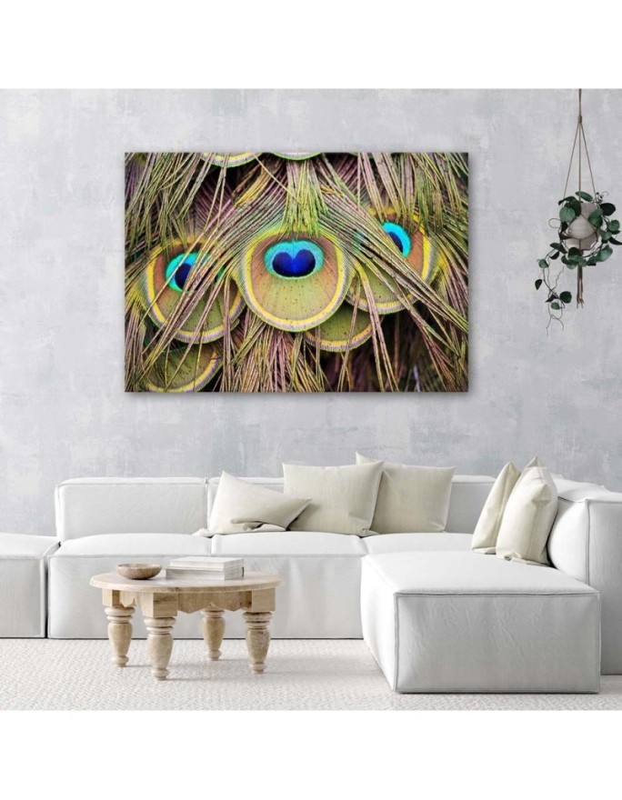 Canvas picture - Peacock feather | FEEBY