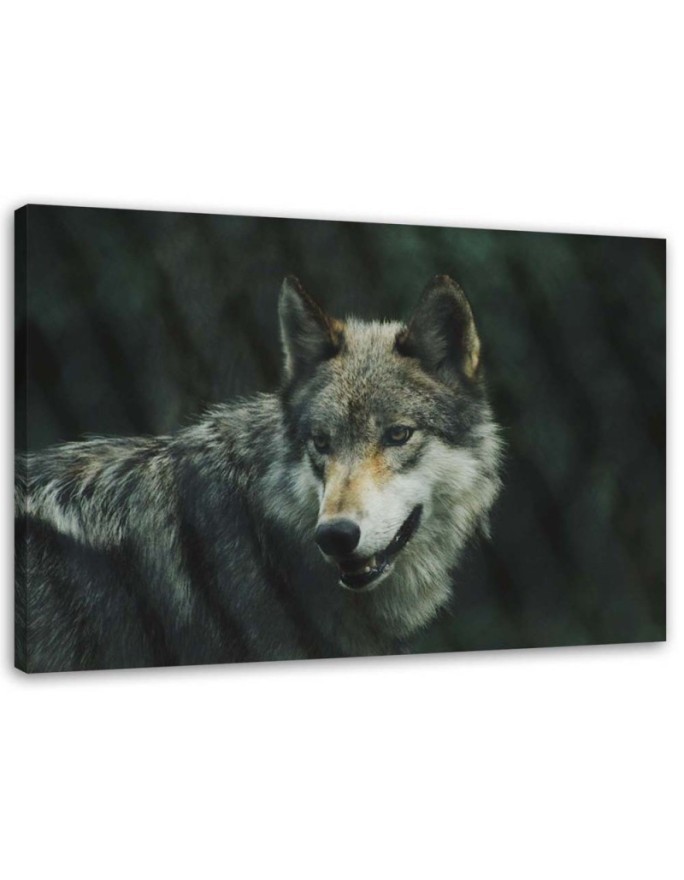 Canvas painting - Grey wolf | FEEBY