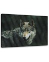 Canvas painting - Grey wolf | FEEBY