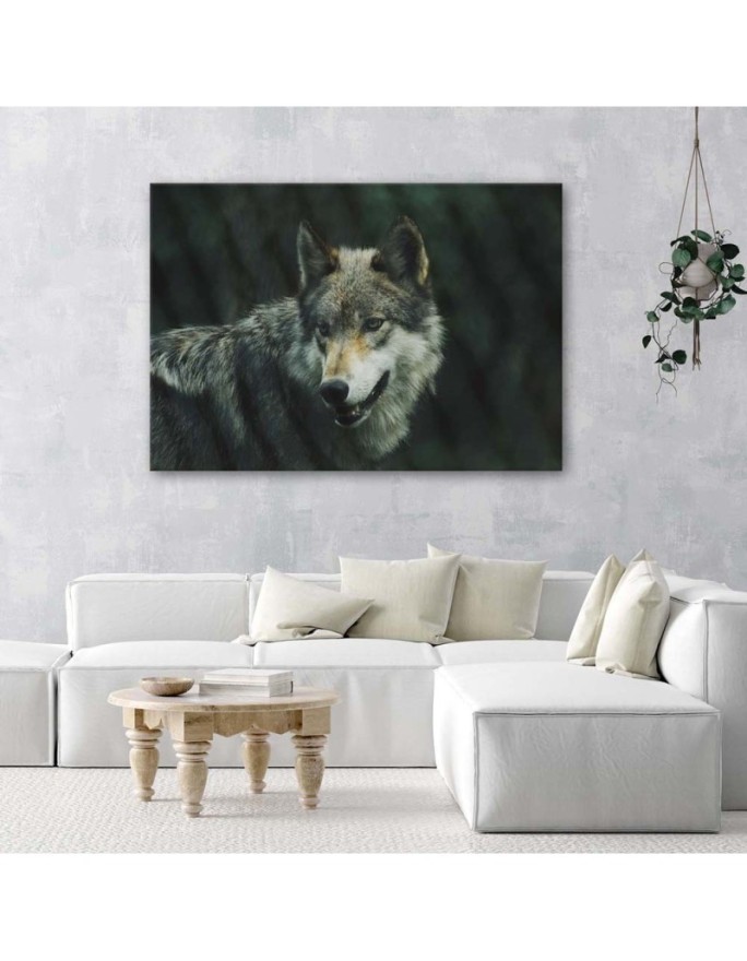 Canvas painting - Grey wolf | FEEBY