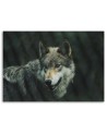 Canvas painting - Grey wolf | FEEBY