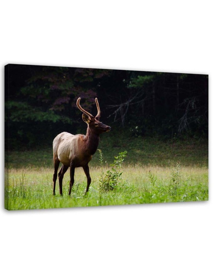 Deer in the meadow - Modern Canvas decoration for the living room | FEEBY