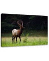 Deer in the meadow - Modern Canvas decoration for the living room | FEEBY