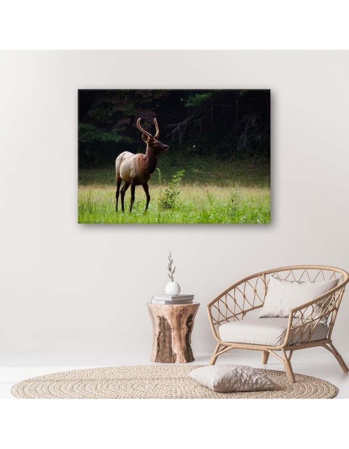 Deer in the meadow - Modern Canvas decoration for the living room | FEEBY