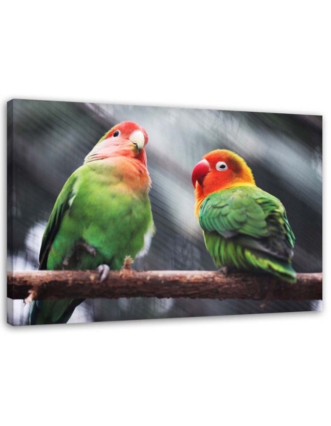Colourful parrots - Canvas painting | FEEBY