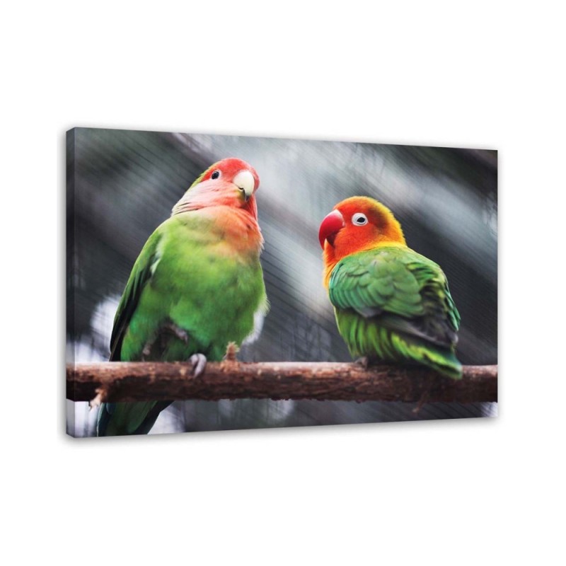 Colourful parrots - Canvas painting | FEEBY