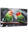Colourful parrots - Canvas painting | FEEBY