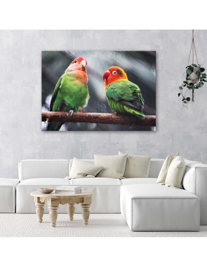 Colourful parrots - Canvas painting | FEEBY
