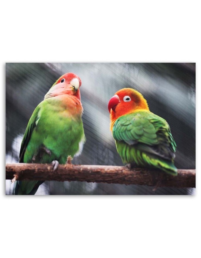 Colourful parrots - Canvas painting | FEEBY
