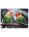 Colourful parrots - Canvas painting | FEEBY