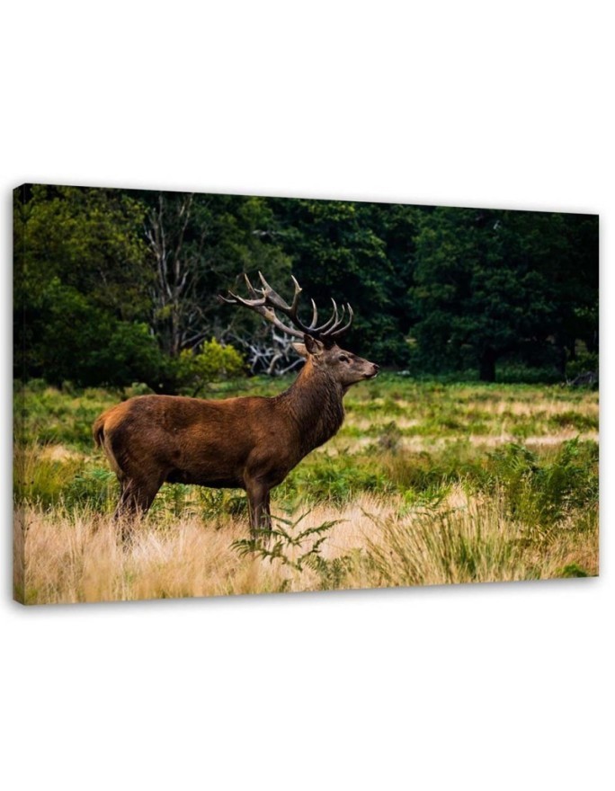 Living room decoration - Deer on a roar - Modern painting | FEEBY
