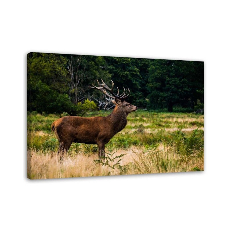 Living room decoration - Deer on a roar - Modern painting | FEEBY