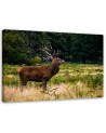 Living room decoration - Deer on a roar - Modern painting | FEEBY