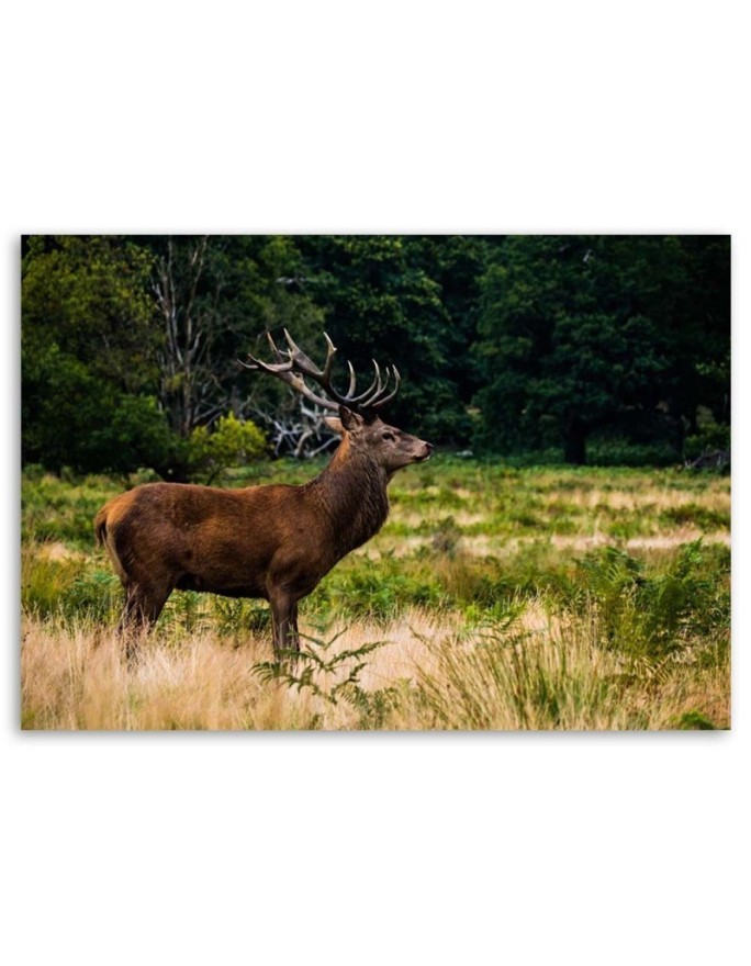 Living room decoration - Deer on a roar - Modern painting | FEEBY