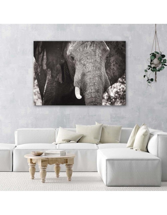 Canvas painting for living room - Black and white elephant | FEEBY