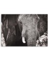 Canvas painting for living room - Black and white elephant | FEEBY