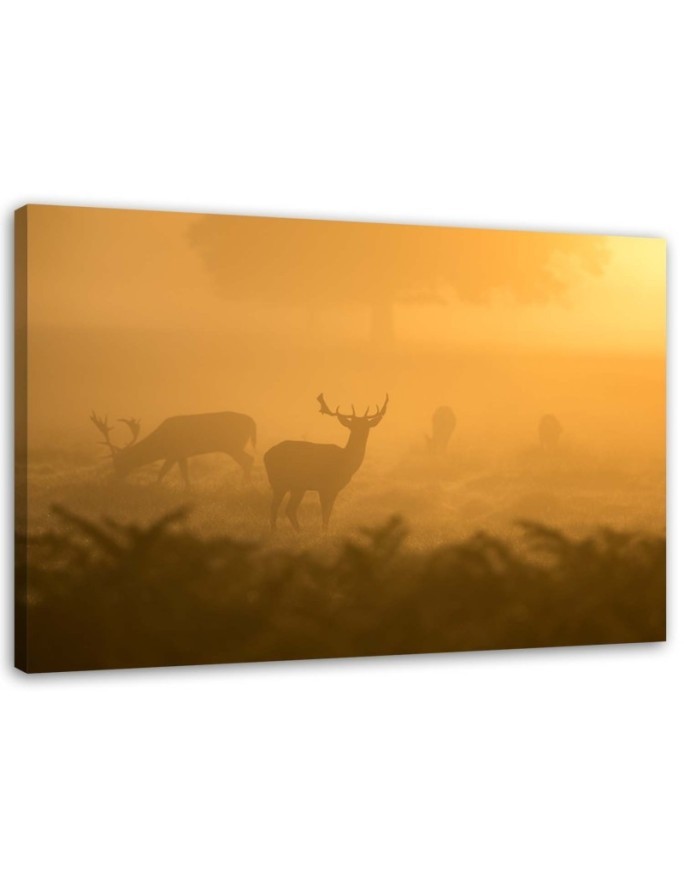 Herd of deer at dawn - Decorative canvas painting | FEEBY