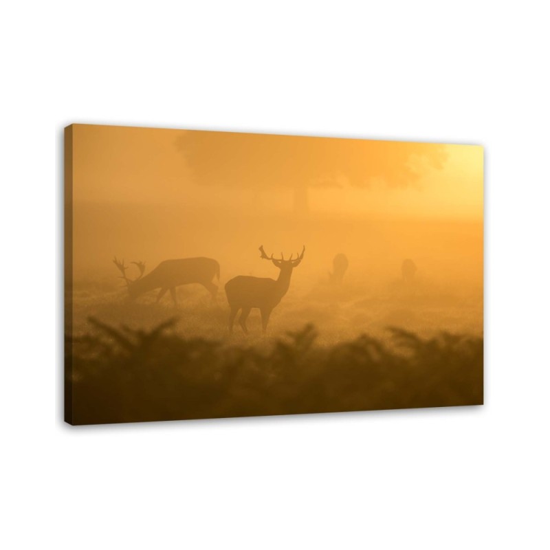 Herd of deer at dawn - Decorative canvas painting | FEEBY