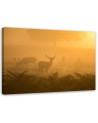 Herd of deer at dawn - Decorative canvas painting | FEEBY