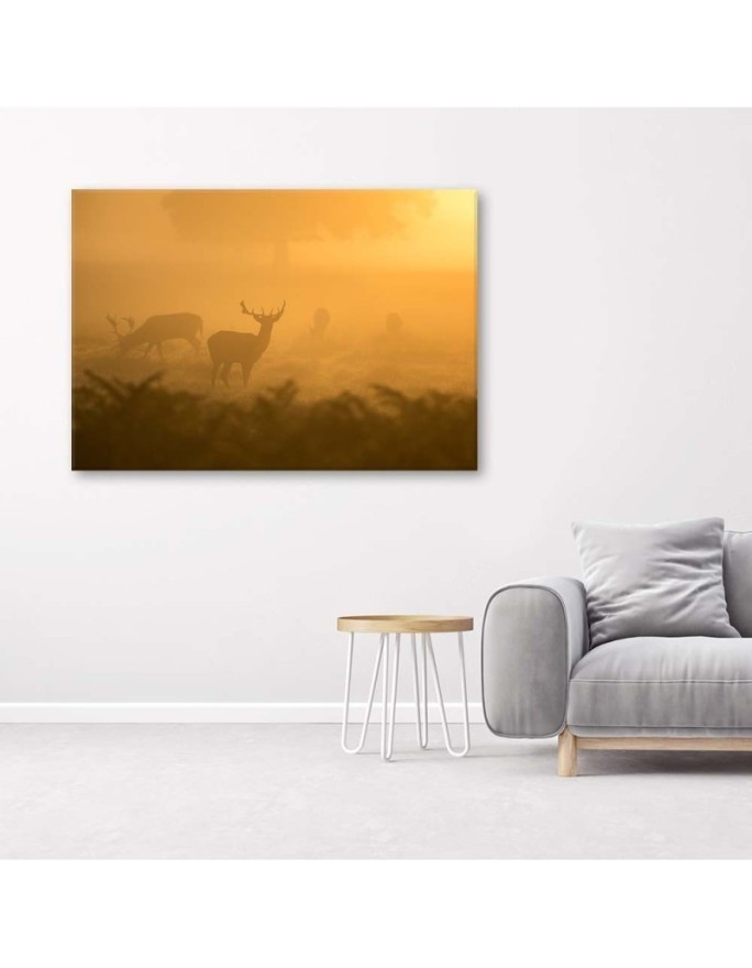 Herd of deer at dawn - Decorative canvas painting | FEEBY