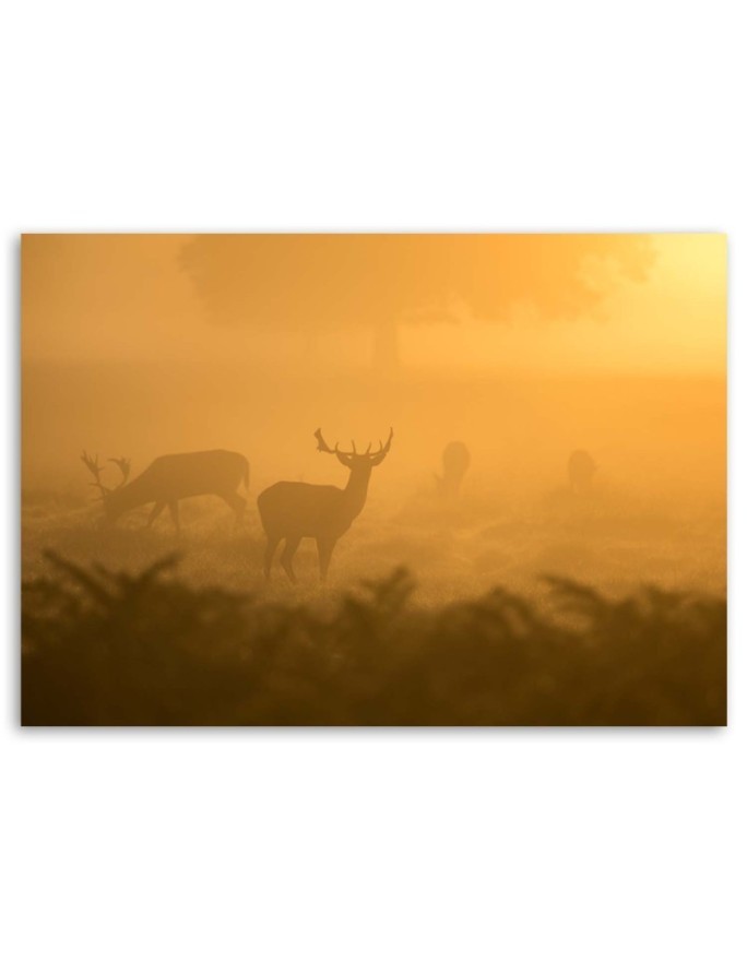 Herd of deer at dawn - Decorative canvas painting | FEEBY