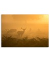 Herd of deer at dawn - Decorative canvas painting | FEEBY