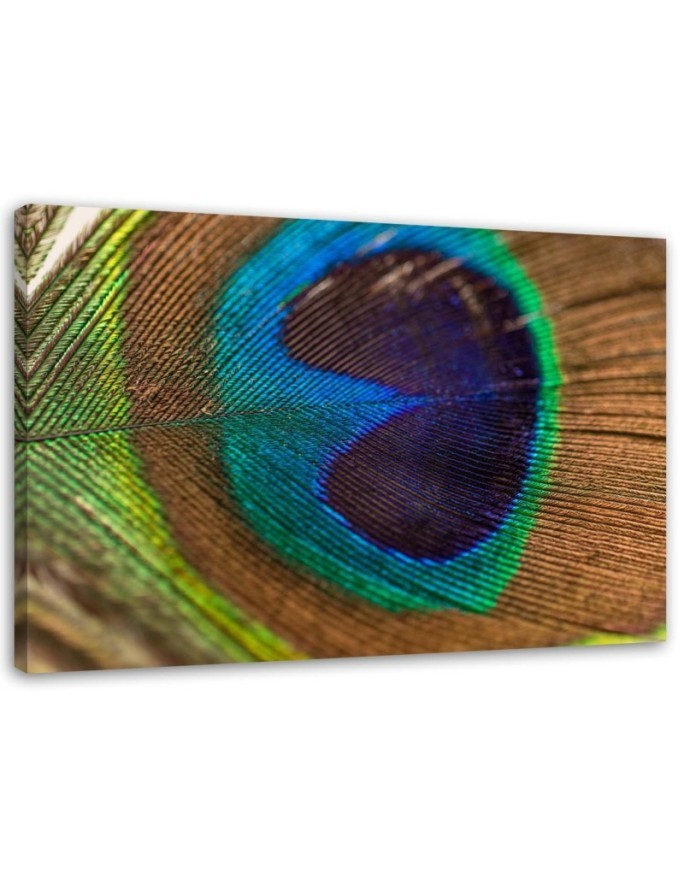 Peacock eye - Canvas painting for bedroom | FEEBY