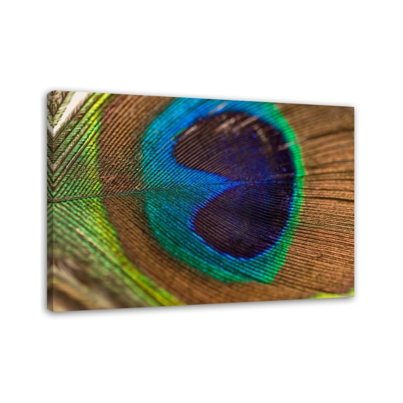 Peacock eye - Canvas painting for bedroom | FEEBY