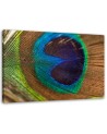 Peacock eye - Canvas painting for bedroom | FEEBY