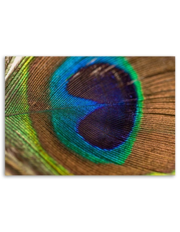 Peacock eye - Canvas painting for bedroom | FEEBY