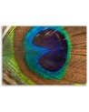 Peacock eye - Canvas painting for bedroom | FEEBY