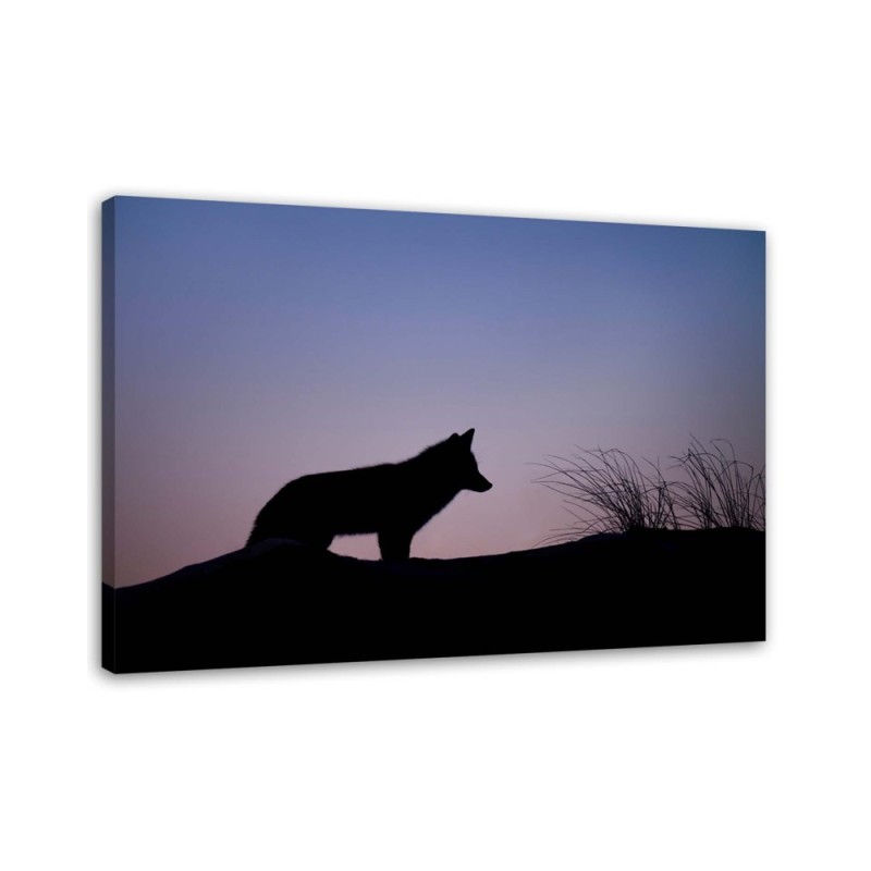 Decorative canvas painting - Wolf nature | FEEBY