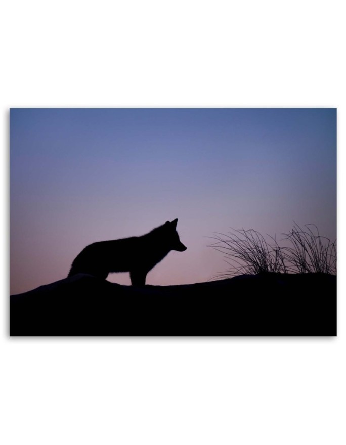Decorative canvas painting - Wolf nature | FEEBY