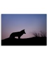Decorative canvas painting - Wolf nature | FEEBY