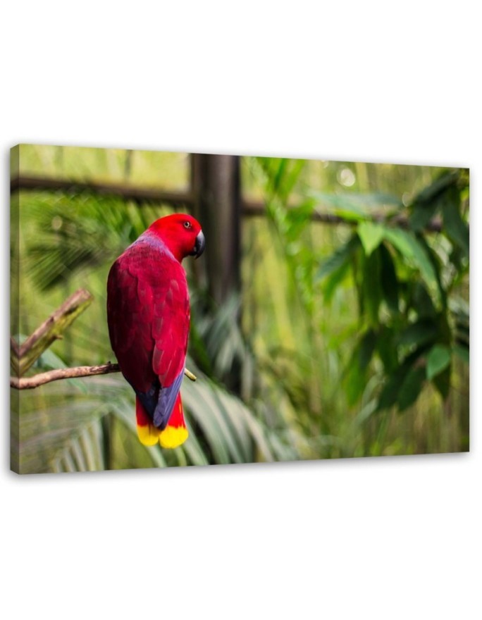 Parrot of paradise - Decorative painting for the living room | FEEBY
