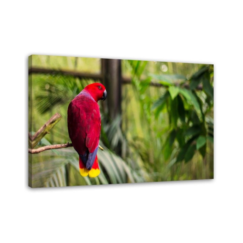 Parrot of paradise - Decorative painting for the living room | FEEBY