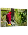 Parrot of paradise - Decorative painting for the living room | FEEBY